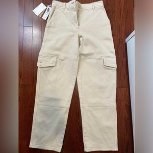 Aritzia Maeve Cargo Pant